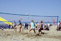 Equipe de France de Beach Volley